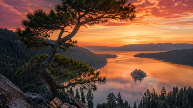Discover the Serenity of Nature Through Stunning Wallpaper Themes