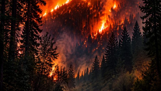 Captivating Nature: Wildfire-Inspired Wallpapers for Your Screen