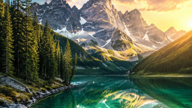 Explore the Serenity of Nature: Captivating Wallpaper Collection
