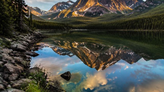 Captivating Serenity: Nature's Beauty for Your Screen