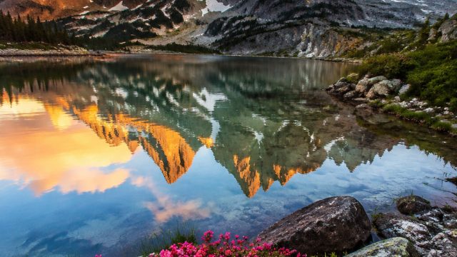 Nature's Serenity: Breathtaking Wallpaper Inspirations