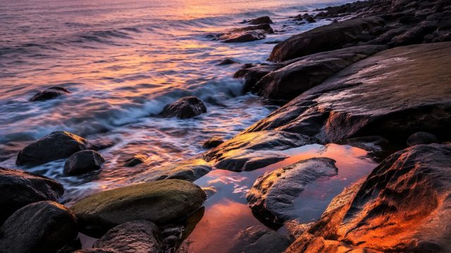 Captivating Nature Textures: Evoke Serenity in Every Glance | kapal slot, mega moolah online slot