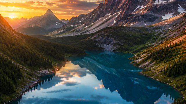 Immersive Visuals: Elevate Your Space with Stunning Wallpapers