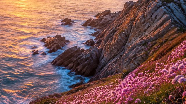 Captivating Wallpaper Gallery: Embrace Vibrant Themes for Your Screens