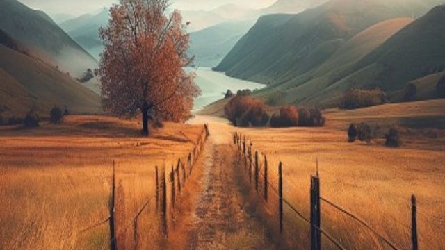 The Power of Solitude in Landscape Photography | wap comtoto login, bocoran slot gacor admin jarwo, 