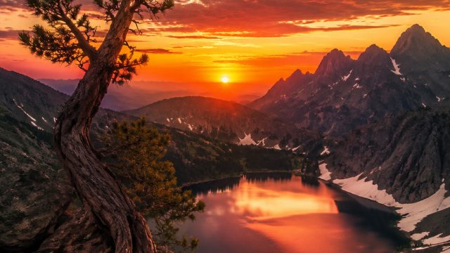 Epic Photography of Nature's Resilience: A Visual Journey