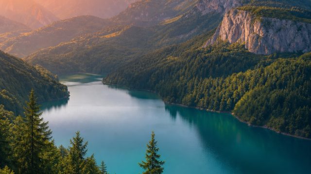 Transform Your Screens with Dynamic Nature Wallpapers | online casino instant withdrawal, vivo slot 