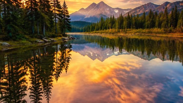 Captivating Reflections: Nature-Inspired Wallpapers for Your Screens