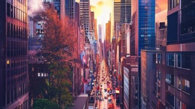 Vibrant Cityscapes: Unleashing Urban Life in Your Gallery
