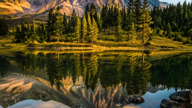 Serene Landscapes: Elevate Your Screen with Nature's Beauty | smart kodok gurun, pinjam gampang ojk,