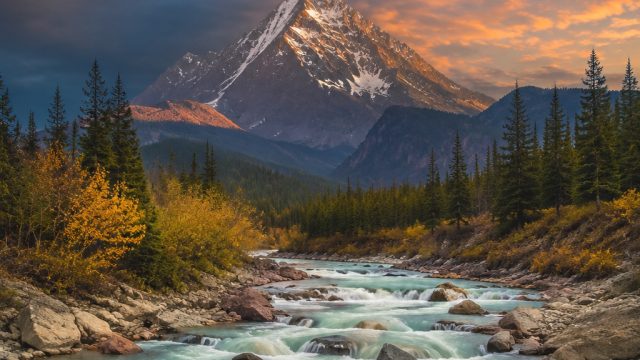 Captivating Visuals: Embrace Artistry in Your Digital Space