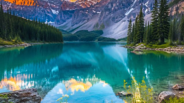 Discover Vibrant Nature: 