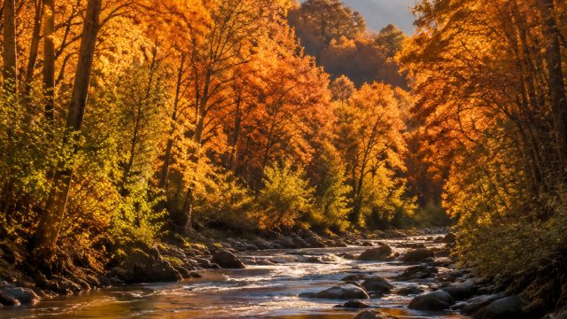 Seasonal Photography Wallpapers: Bring the Beauty of Every Season Indoors | black 4d slot, kerasakti
