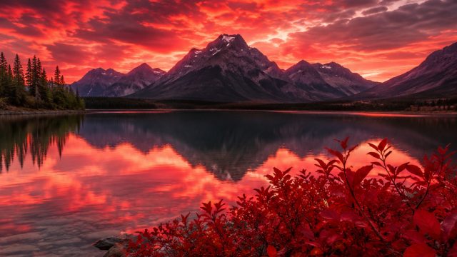 Captivating Visuals: Disc