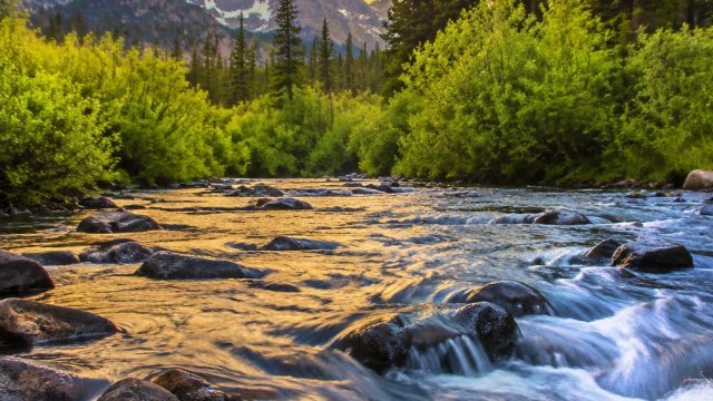 The Serenity of Nature: Explore Tranquil River Wallpapers