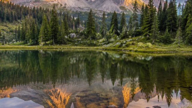 Discovering the Tranquil Beauty of Nature-Inspired Wallpapers