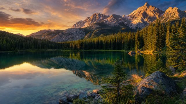 Transform Your Screens with Stunning Nature Wallpaper