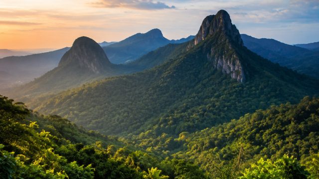 Captivating Nature: A Visual Journey Through Côte d’Ivoire
