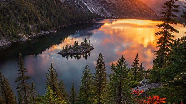 Captivating Nature: Wallpaper Inspirations for 2023