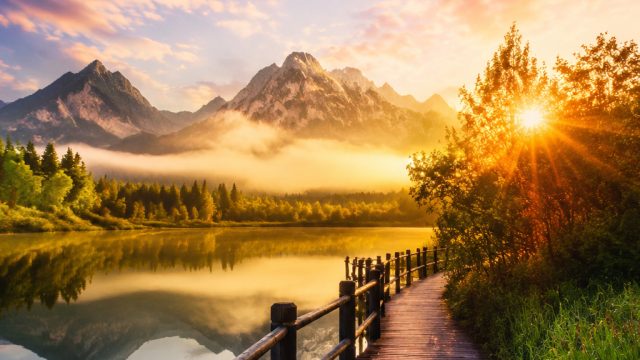 Embrace Tranquility: Stunning Nature Wallpapers for Your Devices