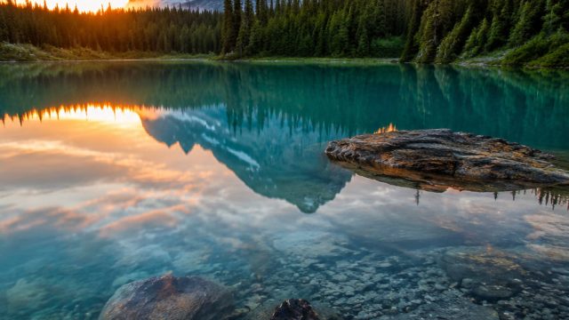 Serene Natural Landscapes: Perfect for Your Screens