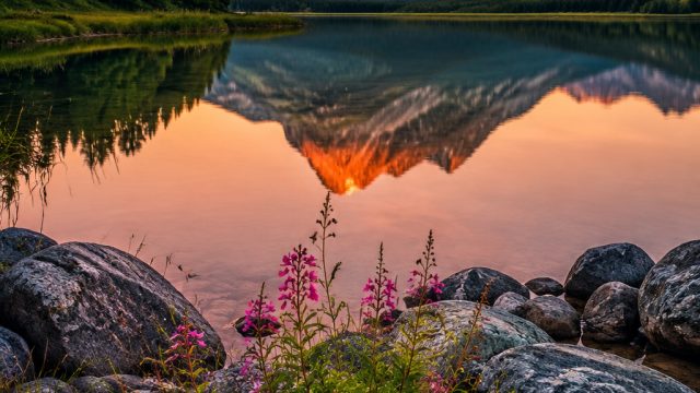 Exploring the Tranquil Beauty of Nature: Wallpaper Inspiration