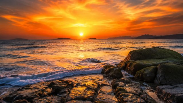 Captivating Visuals: Engage with Our Stunning Wallpaper Gallery