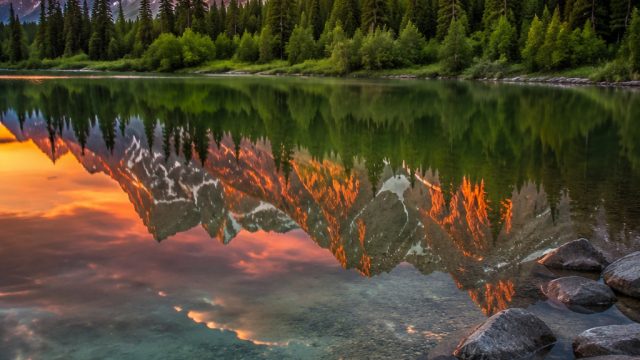 Nature's Serenity: Tranquil Wallpaper Designs for Your Screen