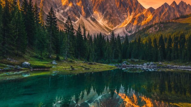 Captivating Nature: A Stunning Wallpaper Collection for Every Screen