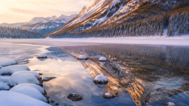 Captivating Snowy Landscapes: A Refreshing Visual Escape