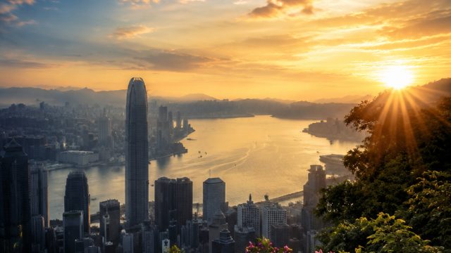 Captivating Environmental Photography: Nature Meets Urbanity