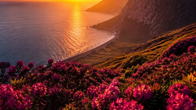 Embrace Vibrant Aesthetics with Stunning Digital Wallpapers | pola gacor olympus hari ini modal receh, soccer bet, download game