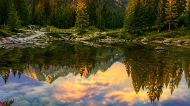 Vibrant Nature: Refresh Your Screen with Lush Landscapes