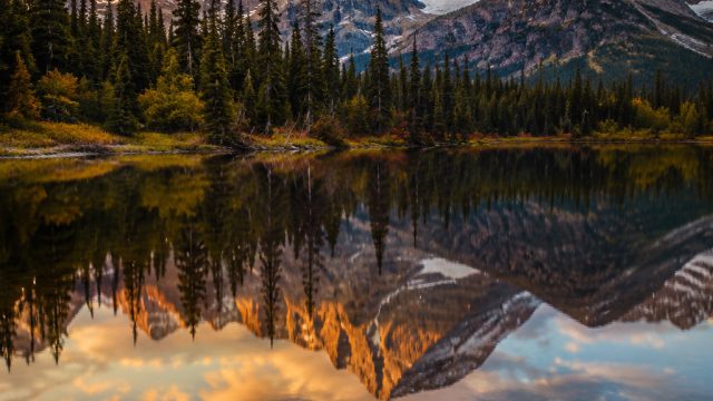 Artful Proportions: Captivating Photography for Your Screens