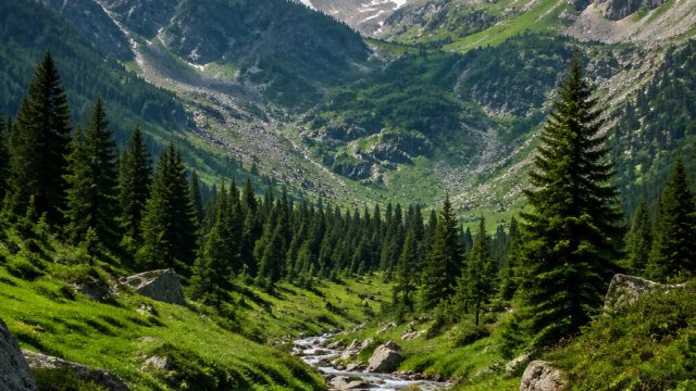 Discover Serene Mountain Landscapes: Capture Tranquility in Your Space
