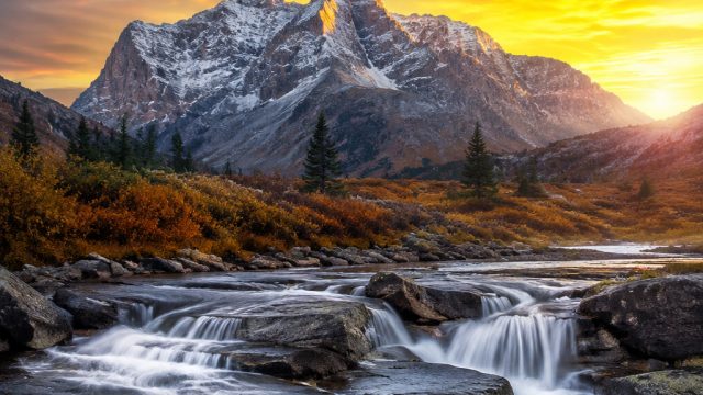 Explore the Captivating Beauty of Nature-Themed Wallpapers