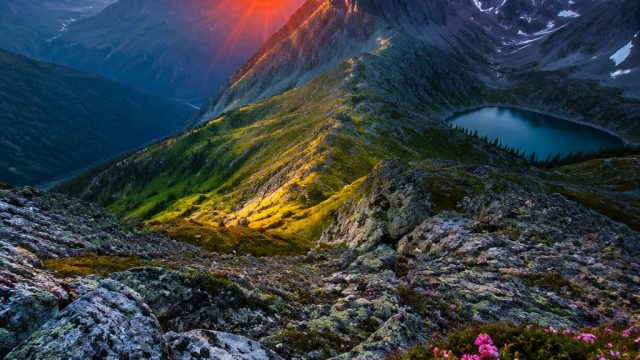 Captivating Nature Scenery: Your Next Phone and Desktop Background