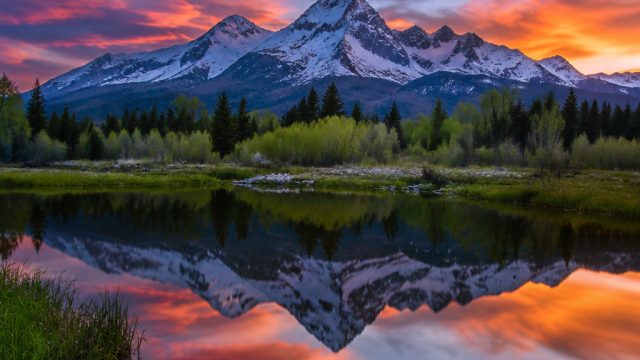 Dreamy Horizons: Captivating Wallpapers for Every Screen