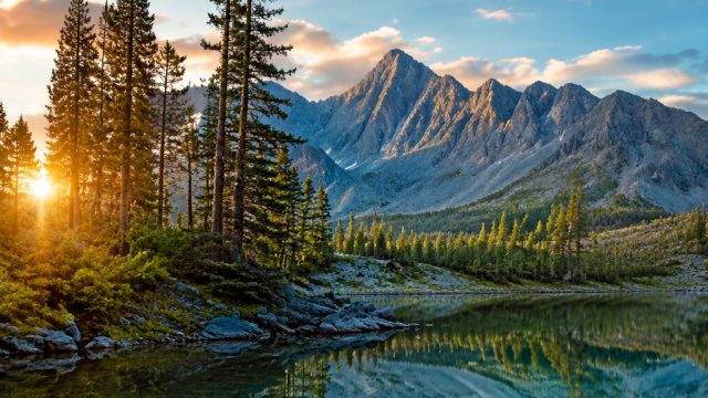 Immerse Yourself in the Tranquil Beauty of Nature-Themed Wallpapers