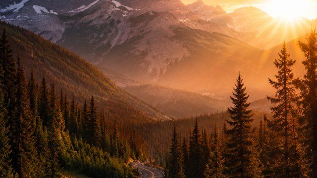 Stunning Photography Wallpapers to Elevate Your Screen Aesthetic