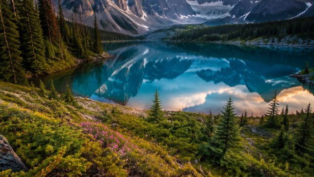 Nature's Call: Stunning Wallpapers to Inspire Environmental Awareness | olo4d, rtp live prada188, fr