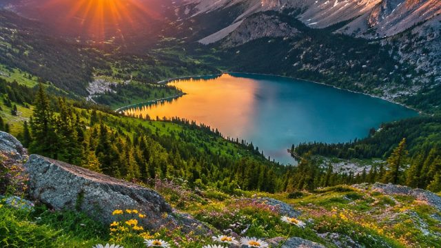 Discover Enchanted Landscapes: Wallpaper Gallery Insights