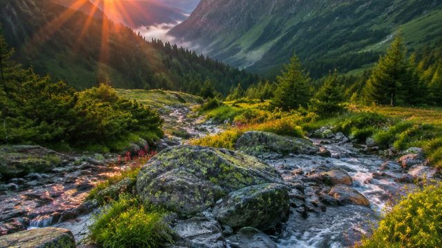Embrace Serenity: Discover Calming Nature Wallpaper for Your Screen | super big slot, gaco88 rtp, lapakpoker link alternatif