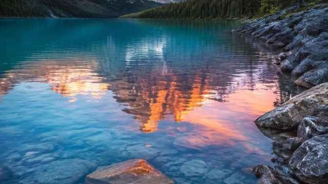 Captivating Visuals: The Best Wallpaper Themes for Your Screens