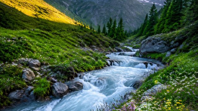Charming Nature Wallpaper: Bring the Outdoors to Your Screen