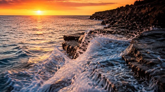 Capture Life's Motion: Dynamic Photography for Your Screens