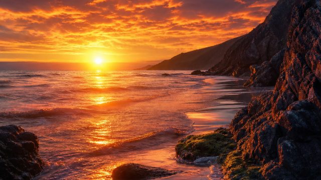 Captivating Visuals: Transform Your Screen with This Wallpaper Theme