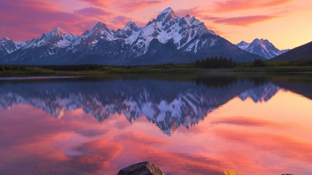 Captivating Wallpaper Themes for Your Device
