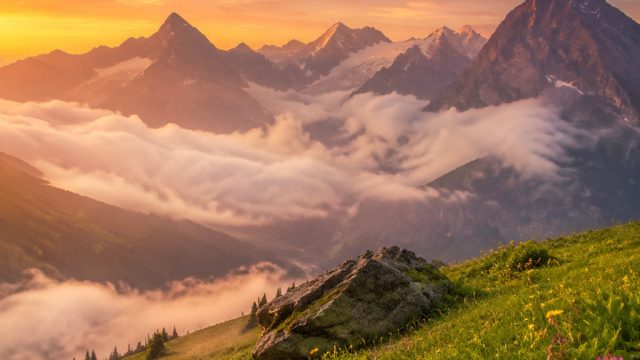 Timeless Beauty: Nature-Inspired Wallpapers for Your Devices