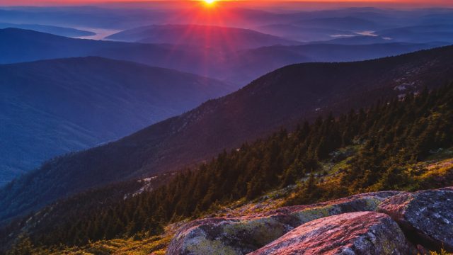 Captivating Photography: Nature's Palette for Your Screens